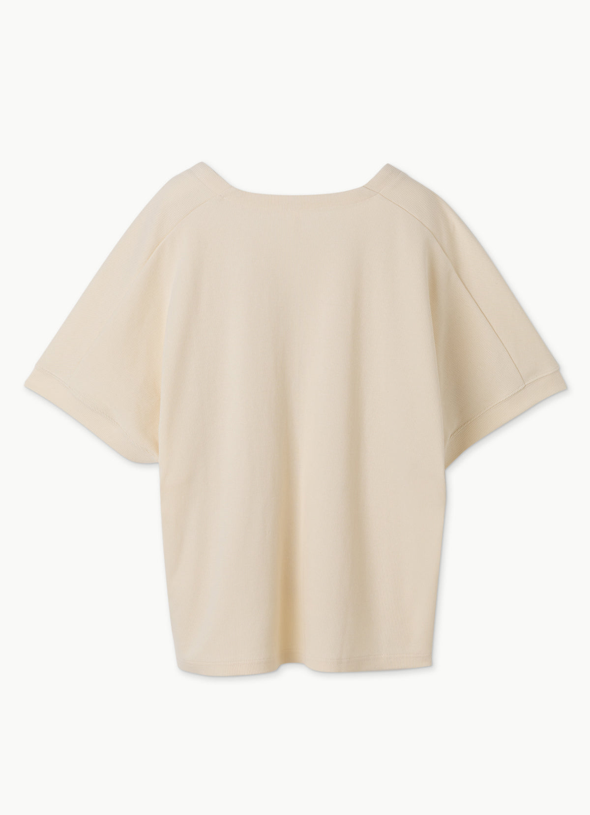 Manas short sleeve top_Seadpearl