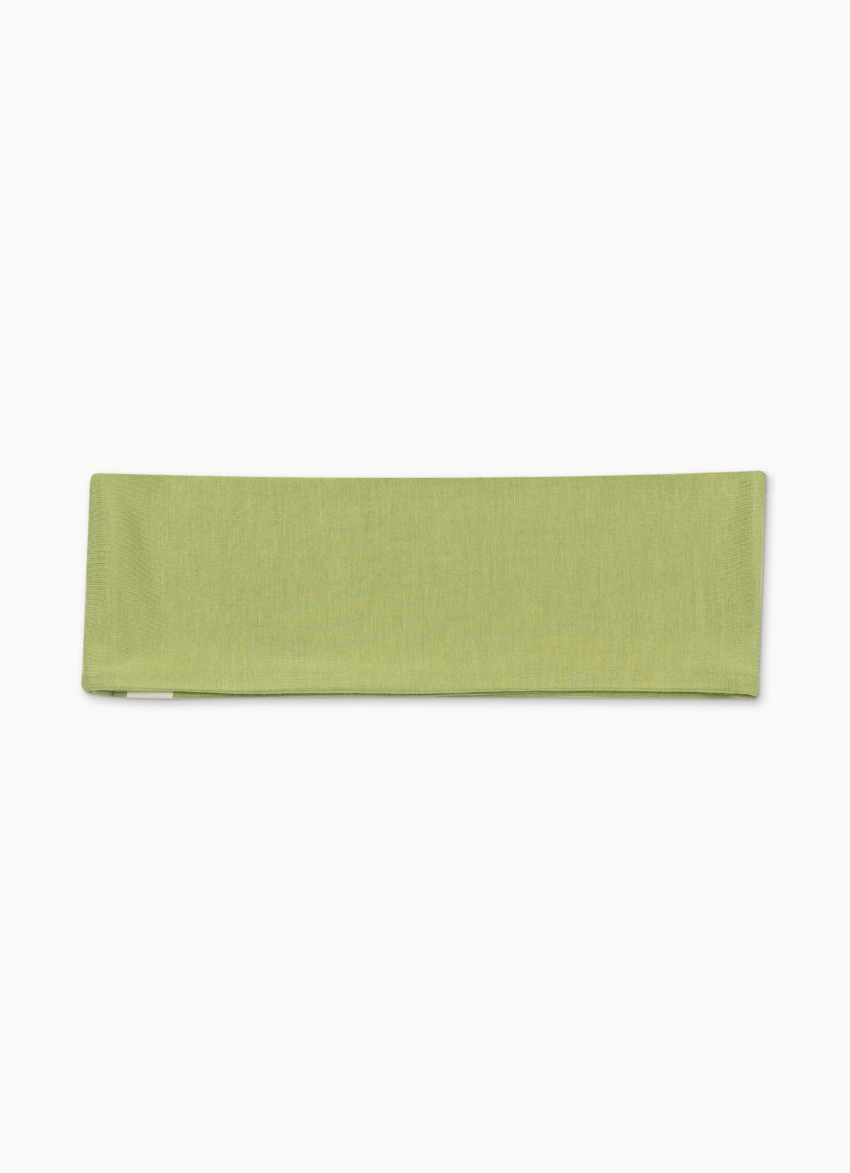 BM head band_Lint