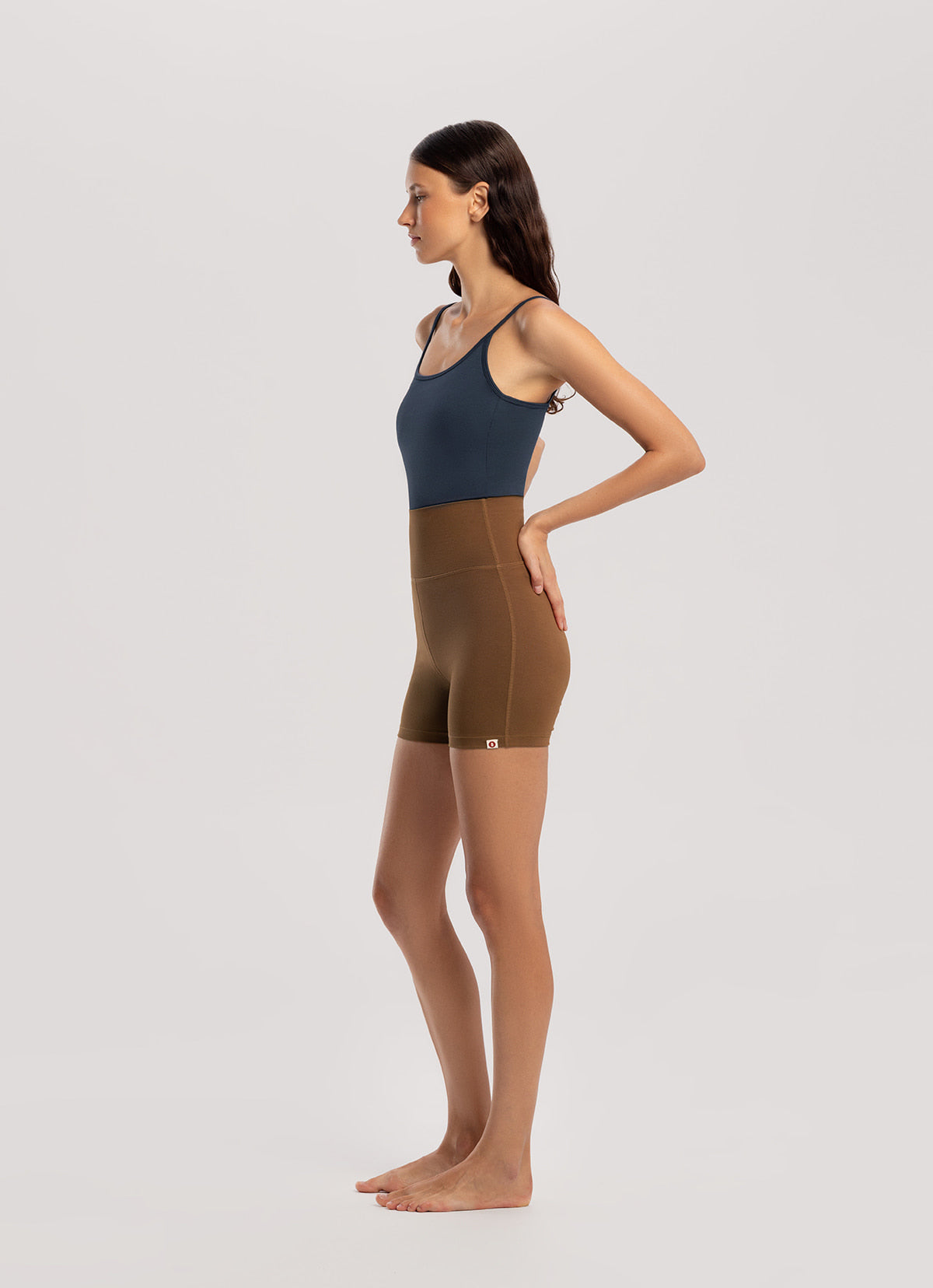 Padma shorts_Dachshund