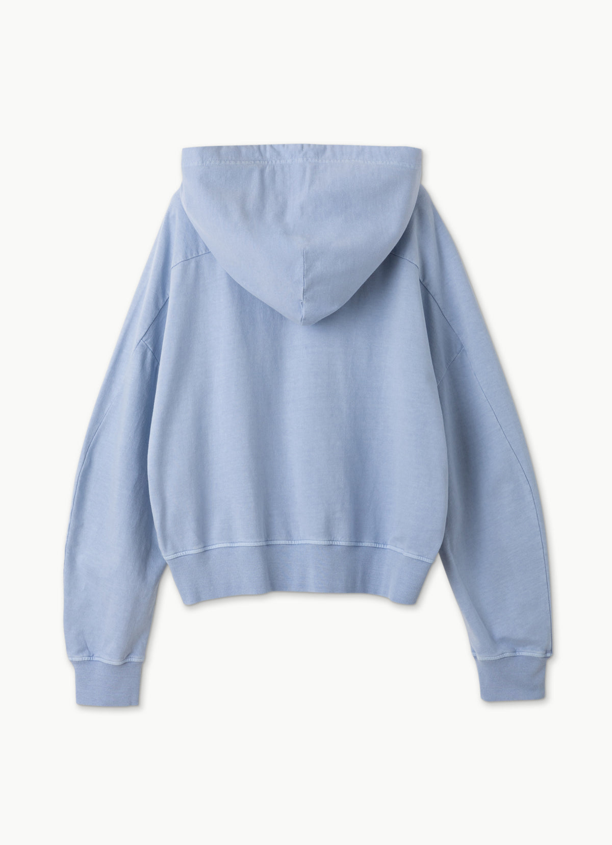 Pubar zip-up hoodie_Blue Heron
