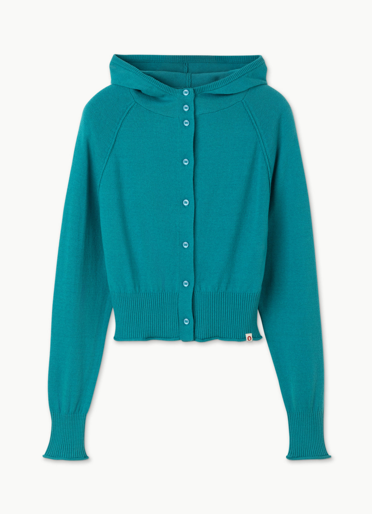 Fitted knit hoodie_Biscay Bay