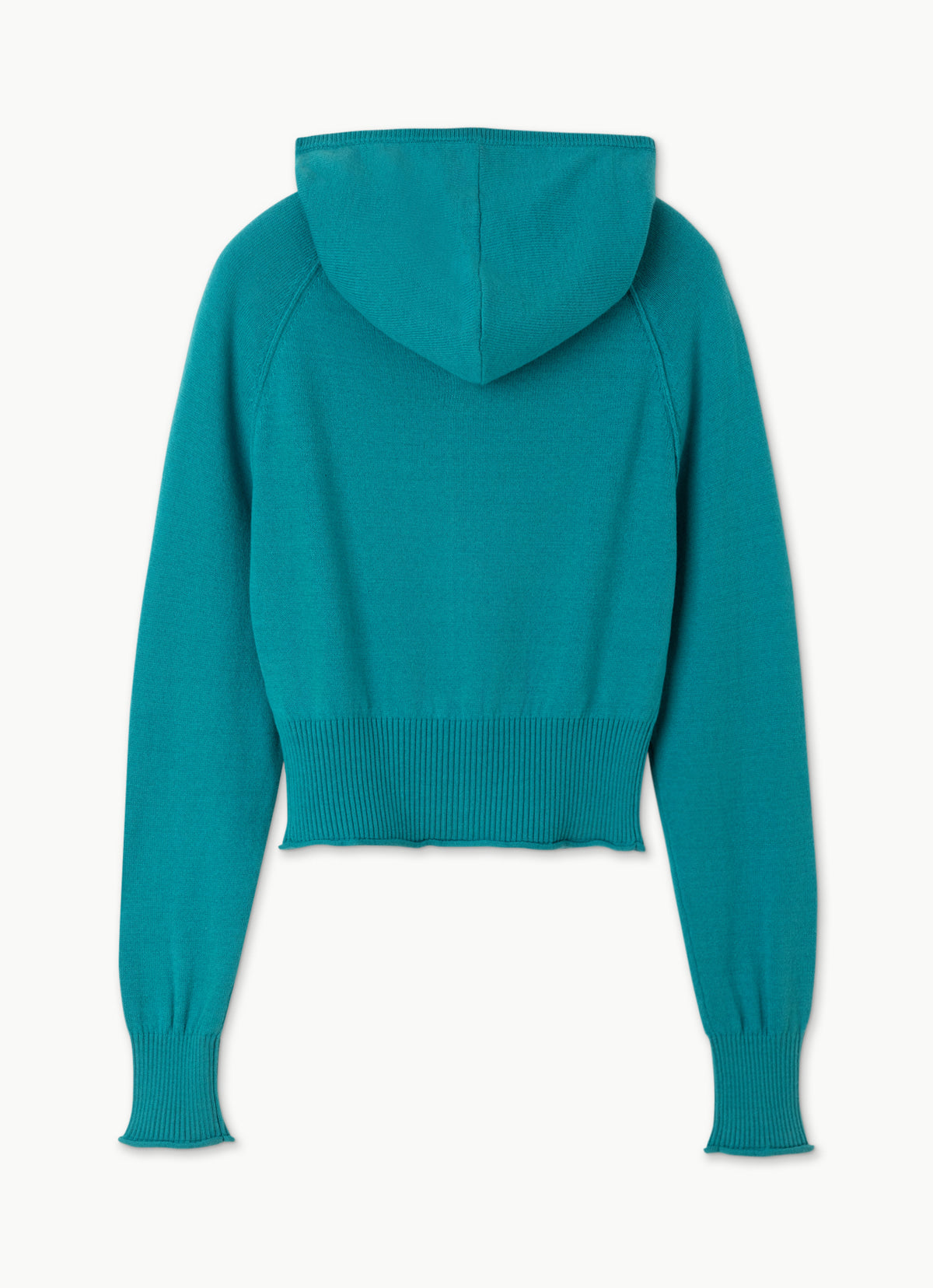 Fitted knit hoodie_Biscay Bay
