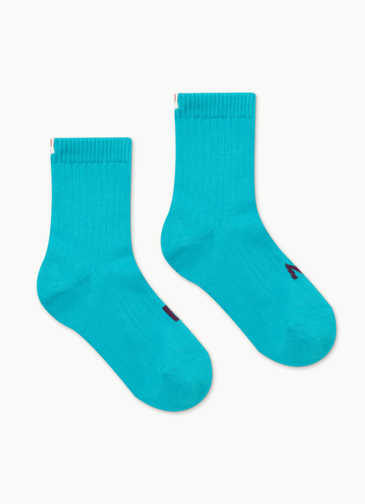 Rib ankle socks_Biscay Bay