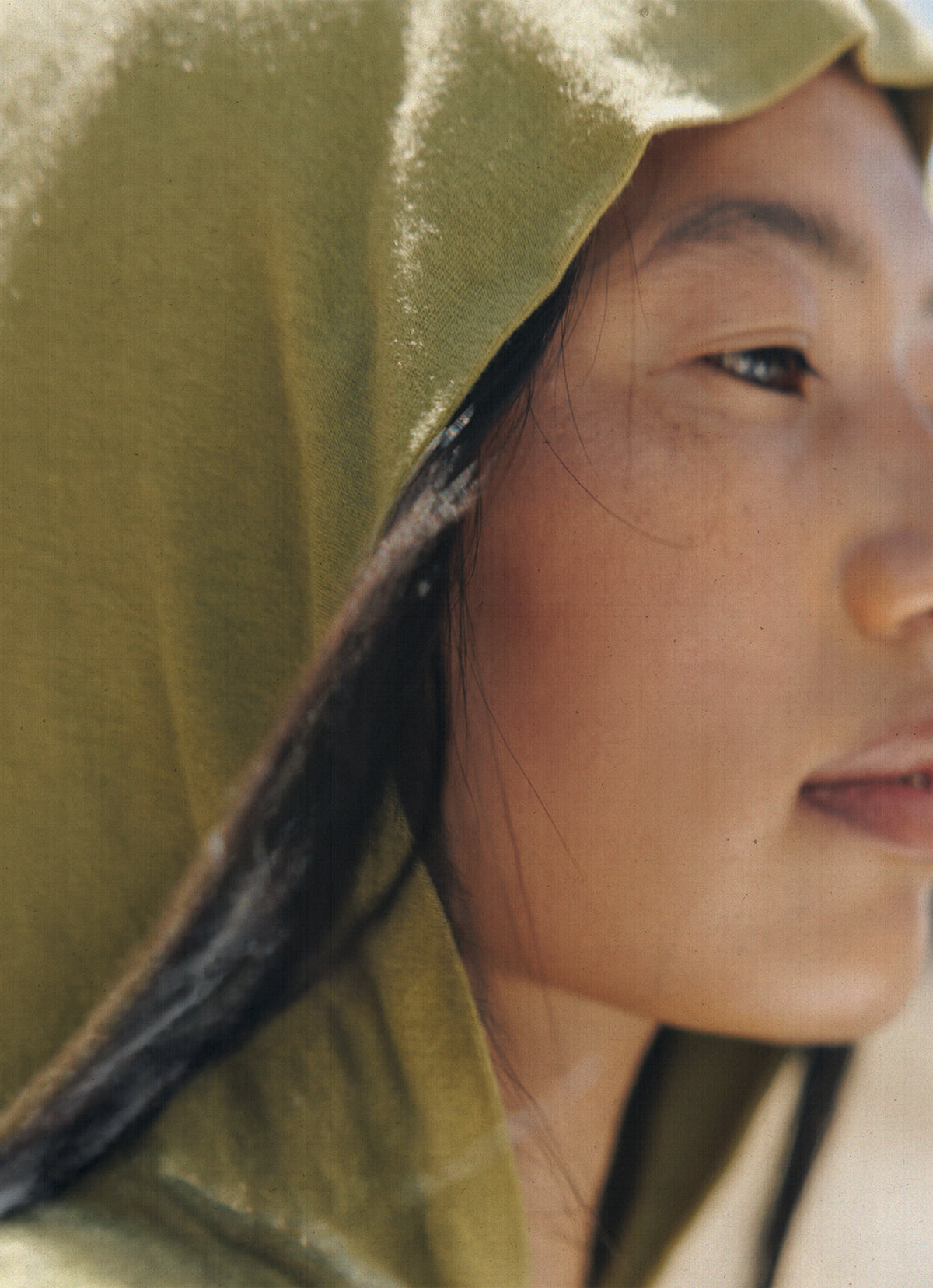 Soft hoodie #2_Split Pea